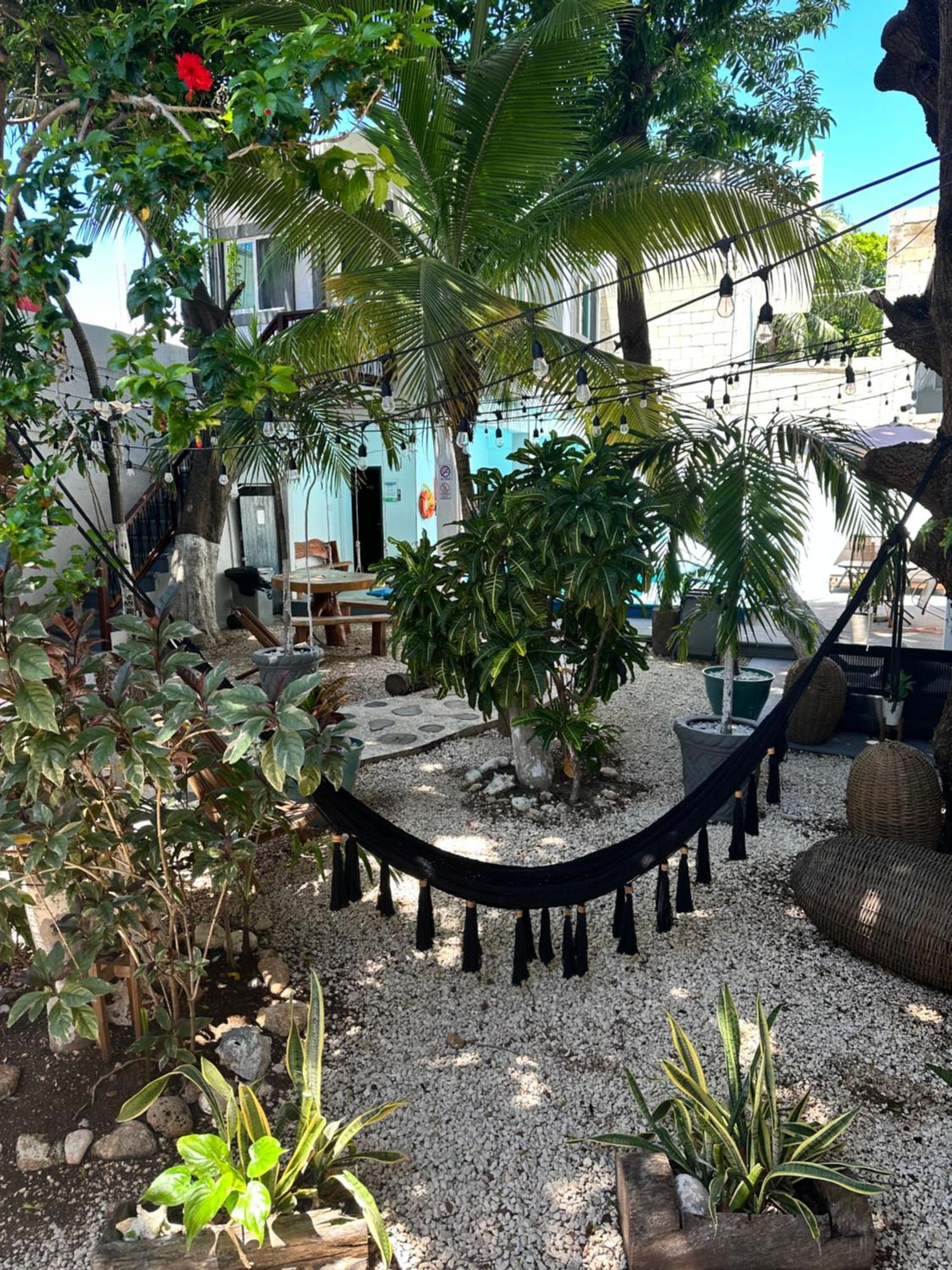 Hotel Isla Caracol Isla Mujeres Exterior foto