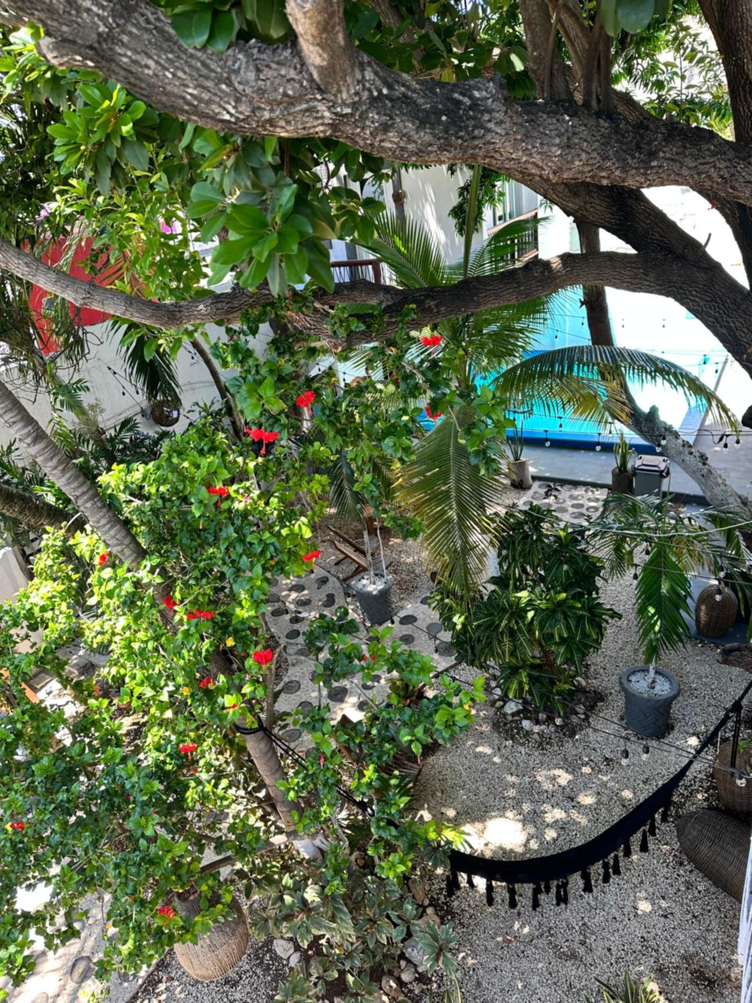 Hotel Isla Caracol Isla Mujeres Exterior foto
